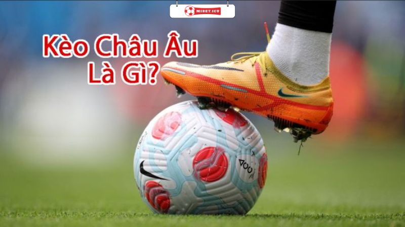 Kèo Châu Âu Là Gì? Giải Mã Chi Tiết Từ A-Z Cho Người Mới 2 Kèo bóng đá Châu Âu thử tài cược thủ dự đoán kết quả chung cuộc của trận đấu